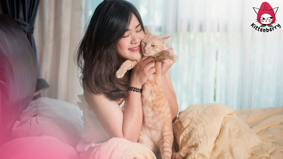 10 Ways to Show Your Cat You Love Them This Season