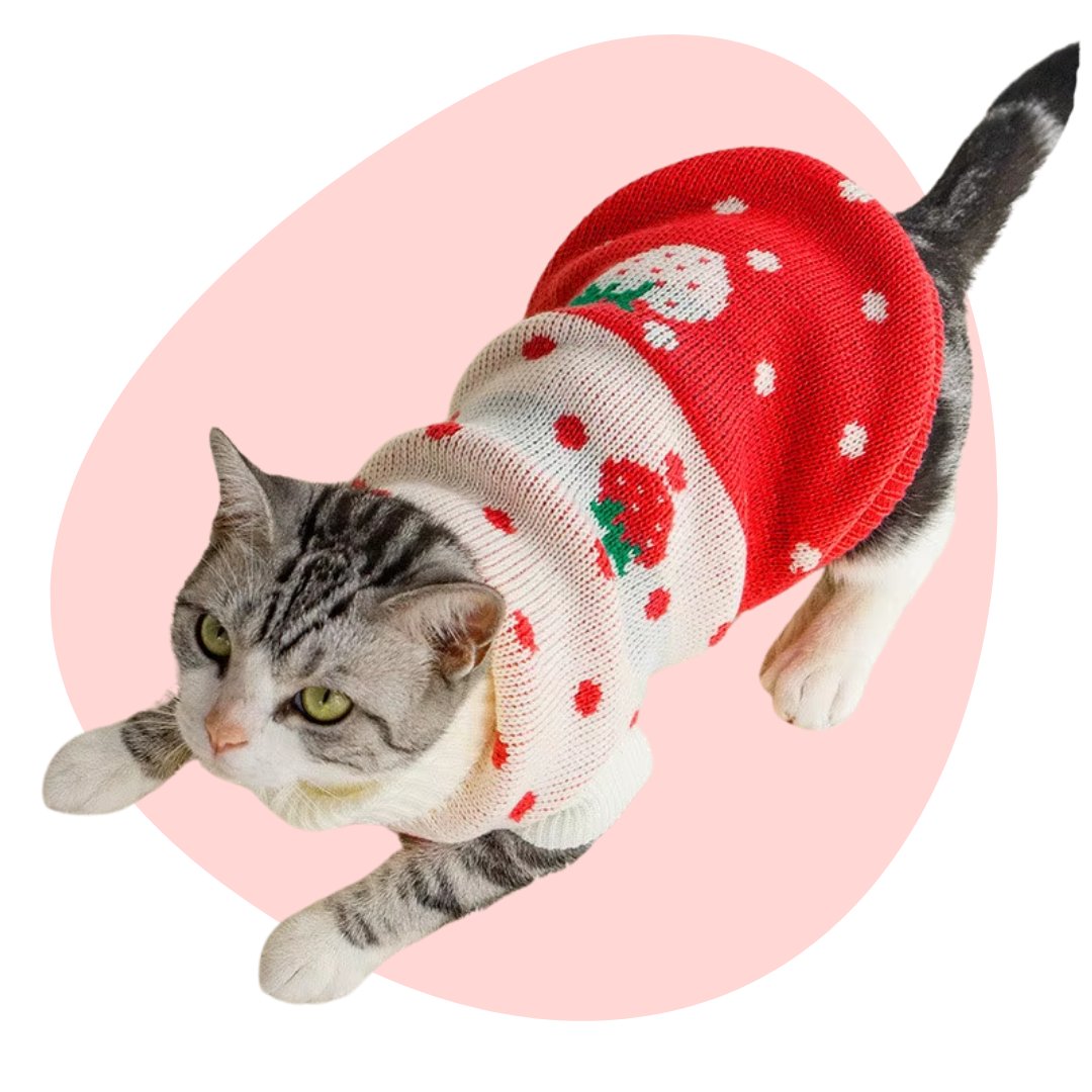 cat fashion, cute cat apparel, cat shirt, cat vest, cat dress, cute cat clothes, cat clothes, pet fashion, cat owner gifts, cat lovers gifts 