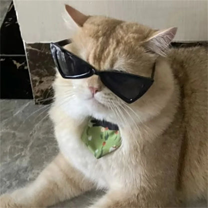 Pet Sunglasses