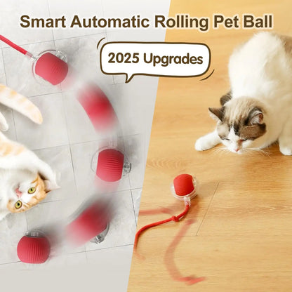 Automatic Rolling Ball with Tail for Cats