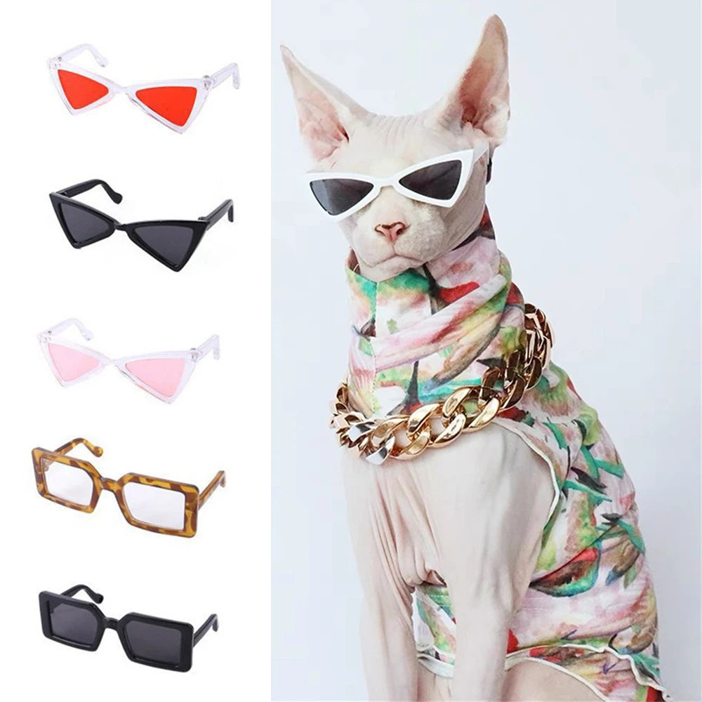 Pet Sunglasses