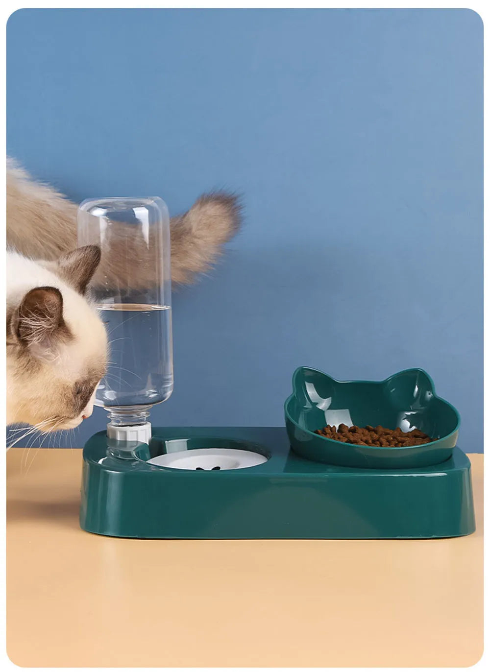 Automatic Food Dispenser for Pets