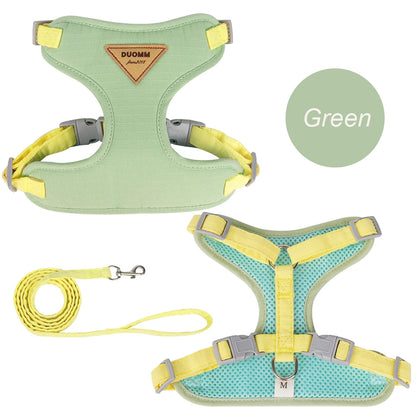 Fashion Cat Harness and Leash Set