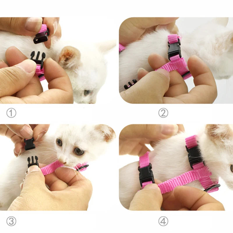 Angel Wings Pet Harness and Leash