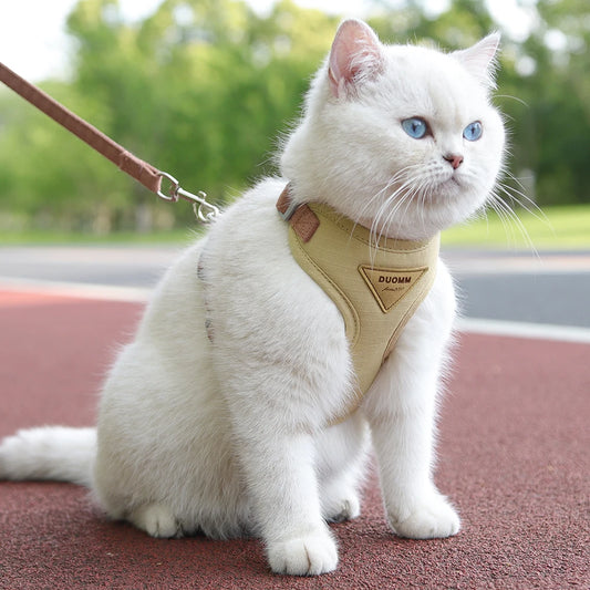 Fashion Cat Harness and Leash Set