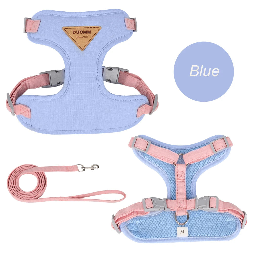 Fashion Cat Harness and Leash Set