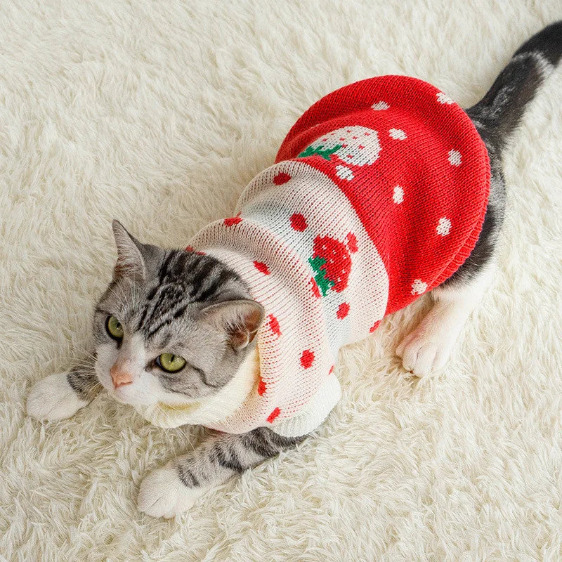 Warm Winter Cat Sweater