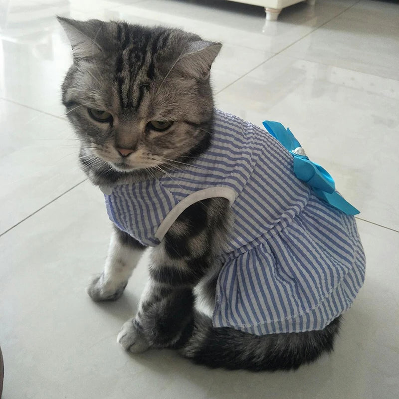 Cat Princess Dress with Bow