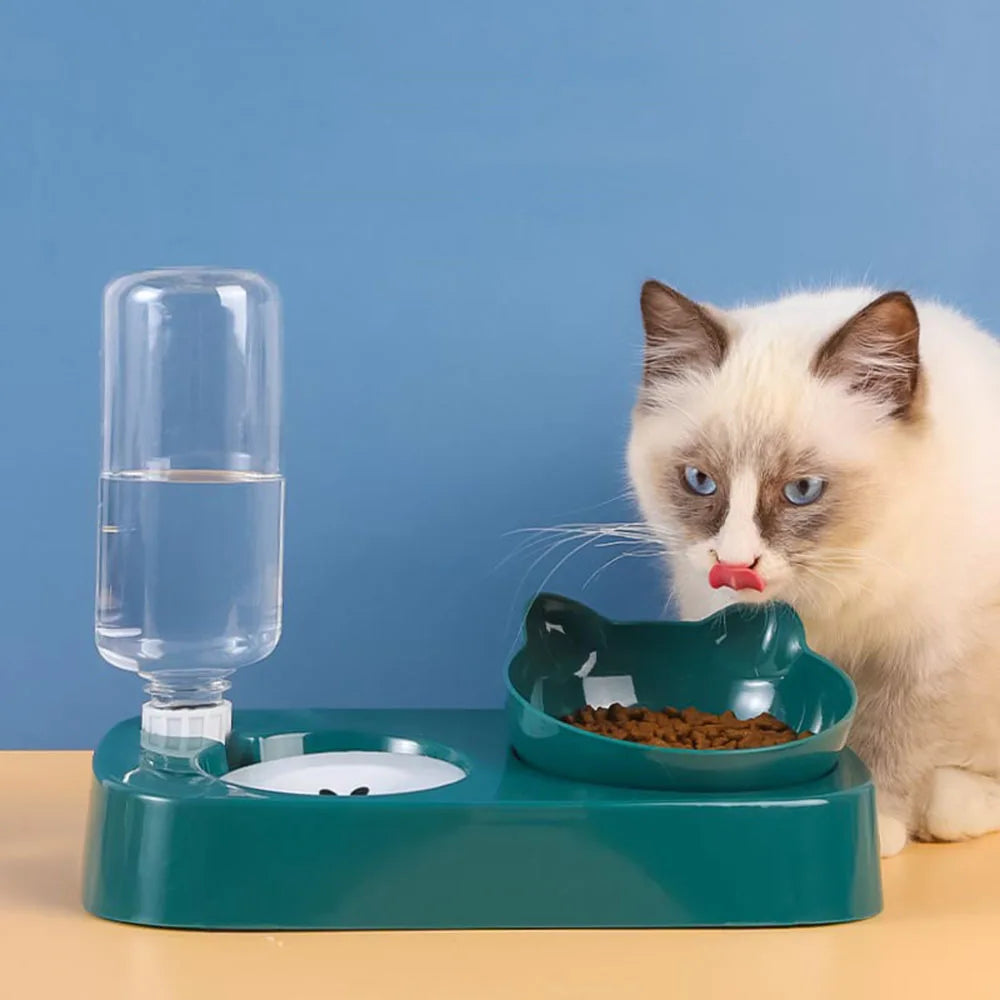 Automatic Food Dispenser for Pets