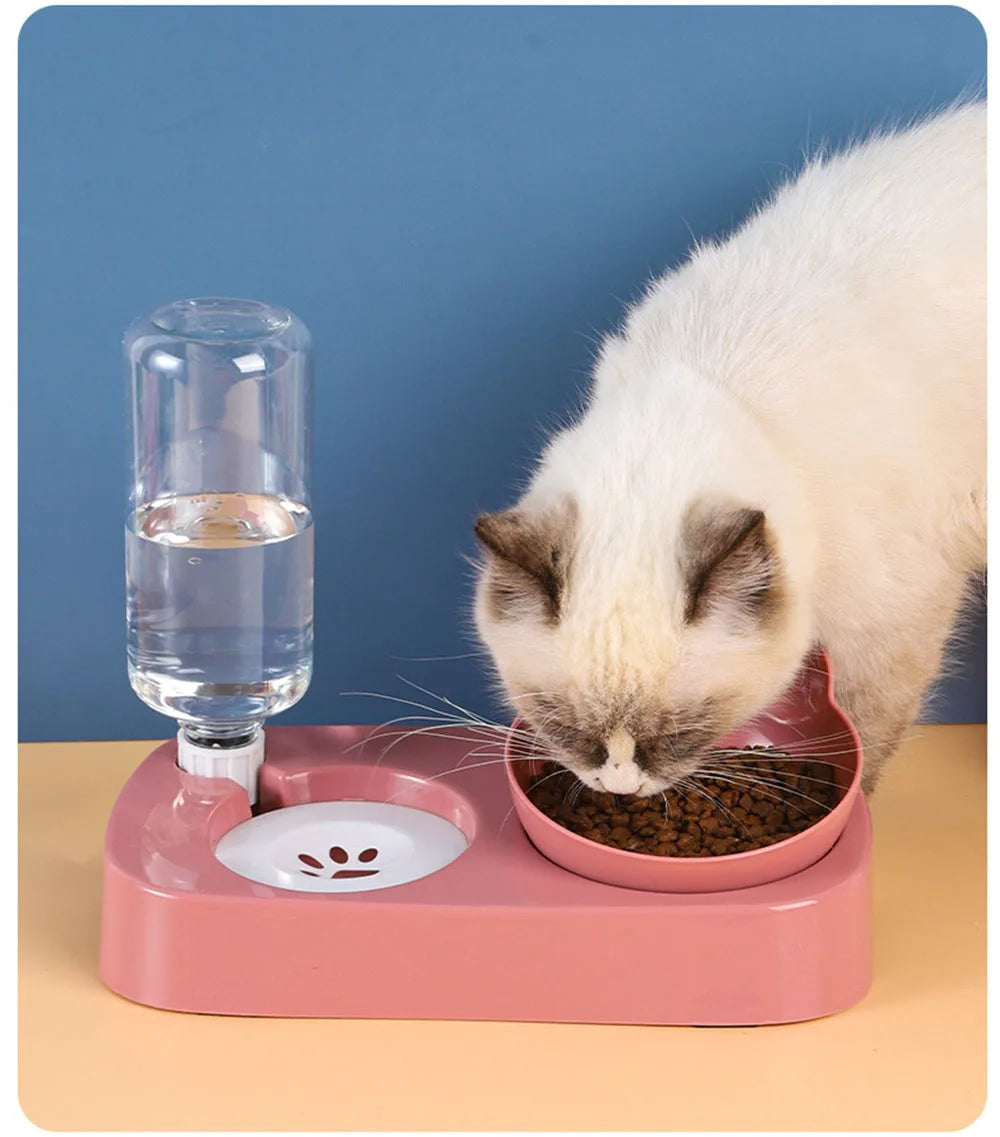 Automatic Food Dispenser for Pets