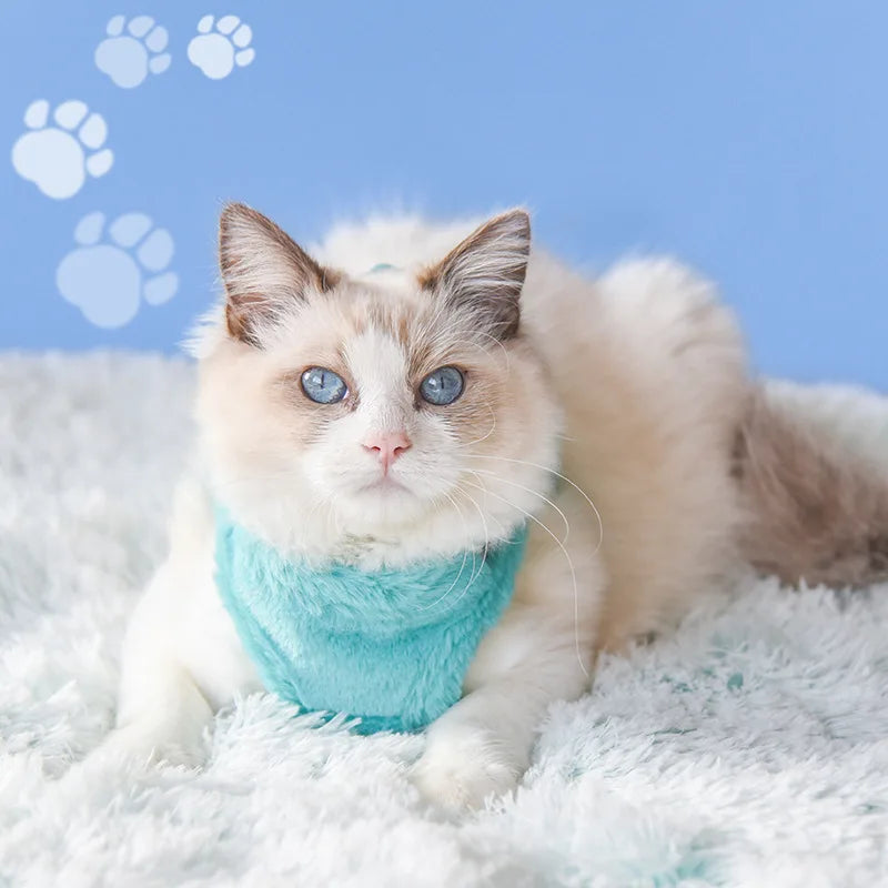 Warm Winter Cat Harness and Leash