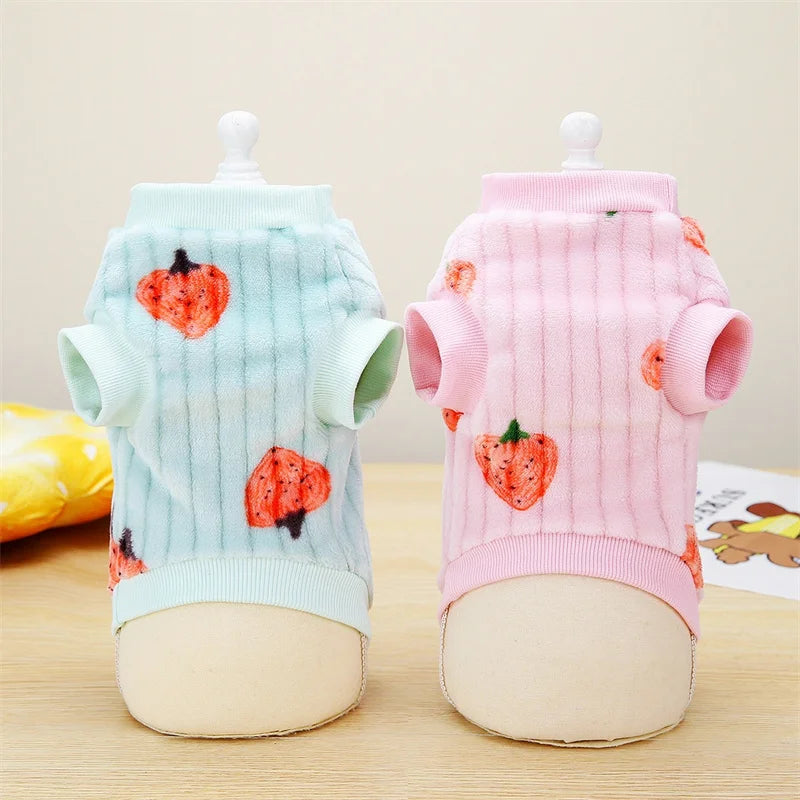 Cute Strawberry Print Cat Sweater