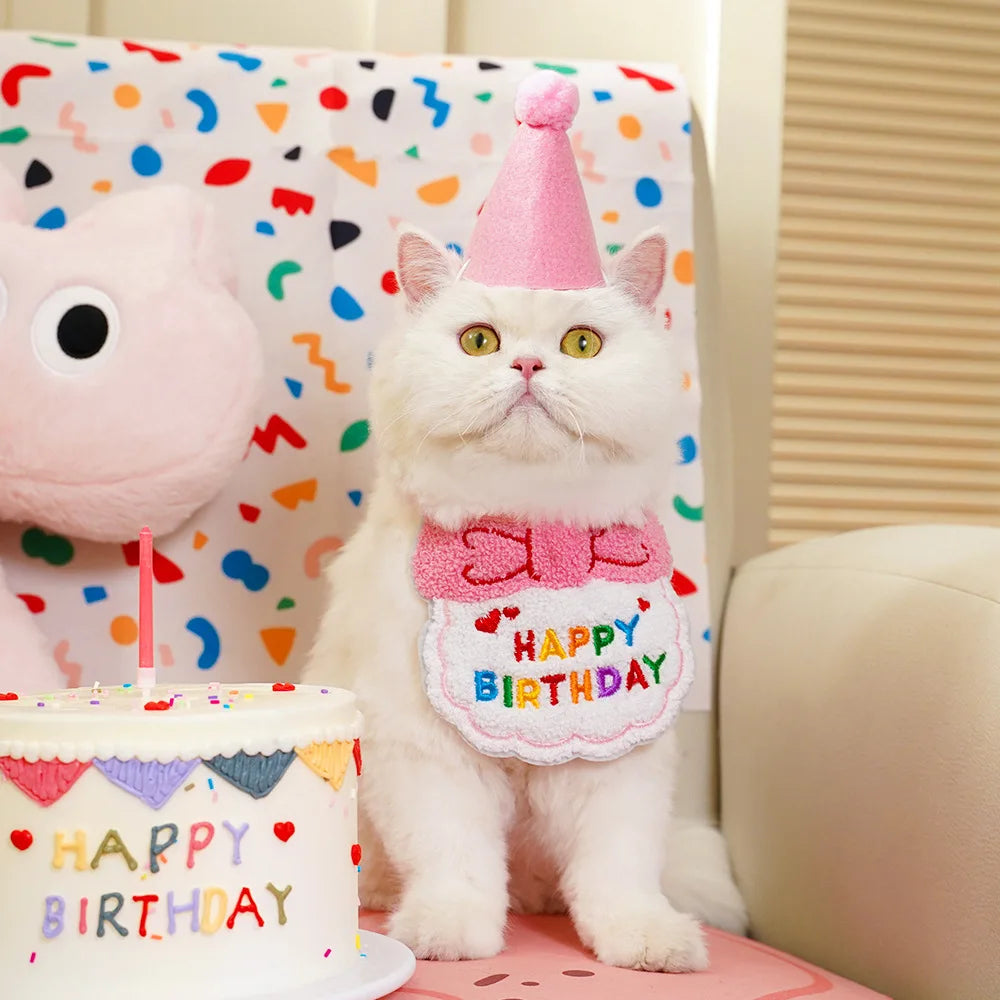 Birthday Hat and Collar Set for Cats