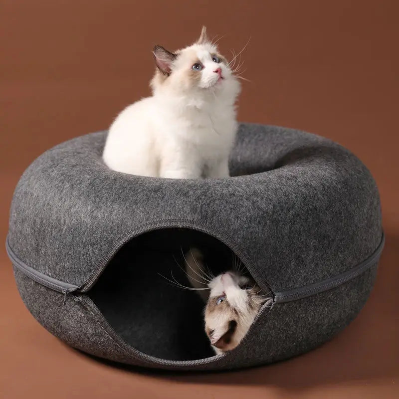 Cat Donut Bed and House