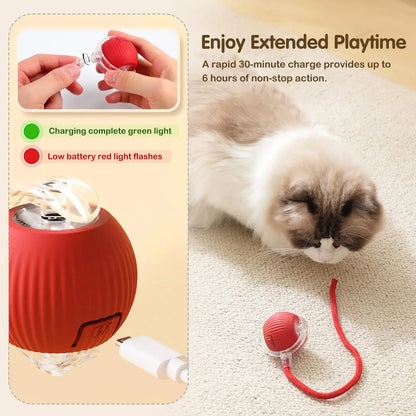 Automatic Rolling Ball with Tail for Cats