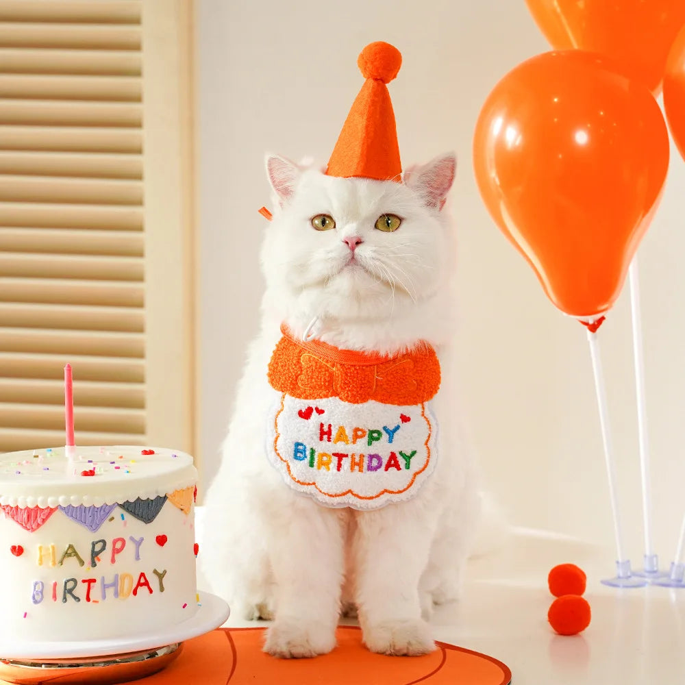 Birthday Hat and Collar Set for Cats