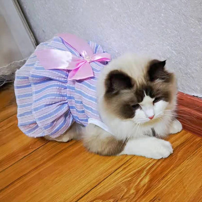 Cat Princess Dress with Bow