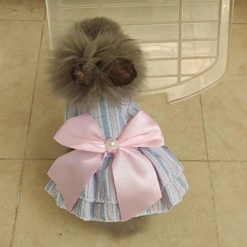 Cat Princess Dress with Bow