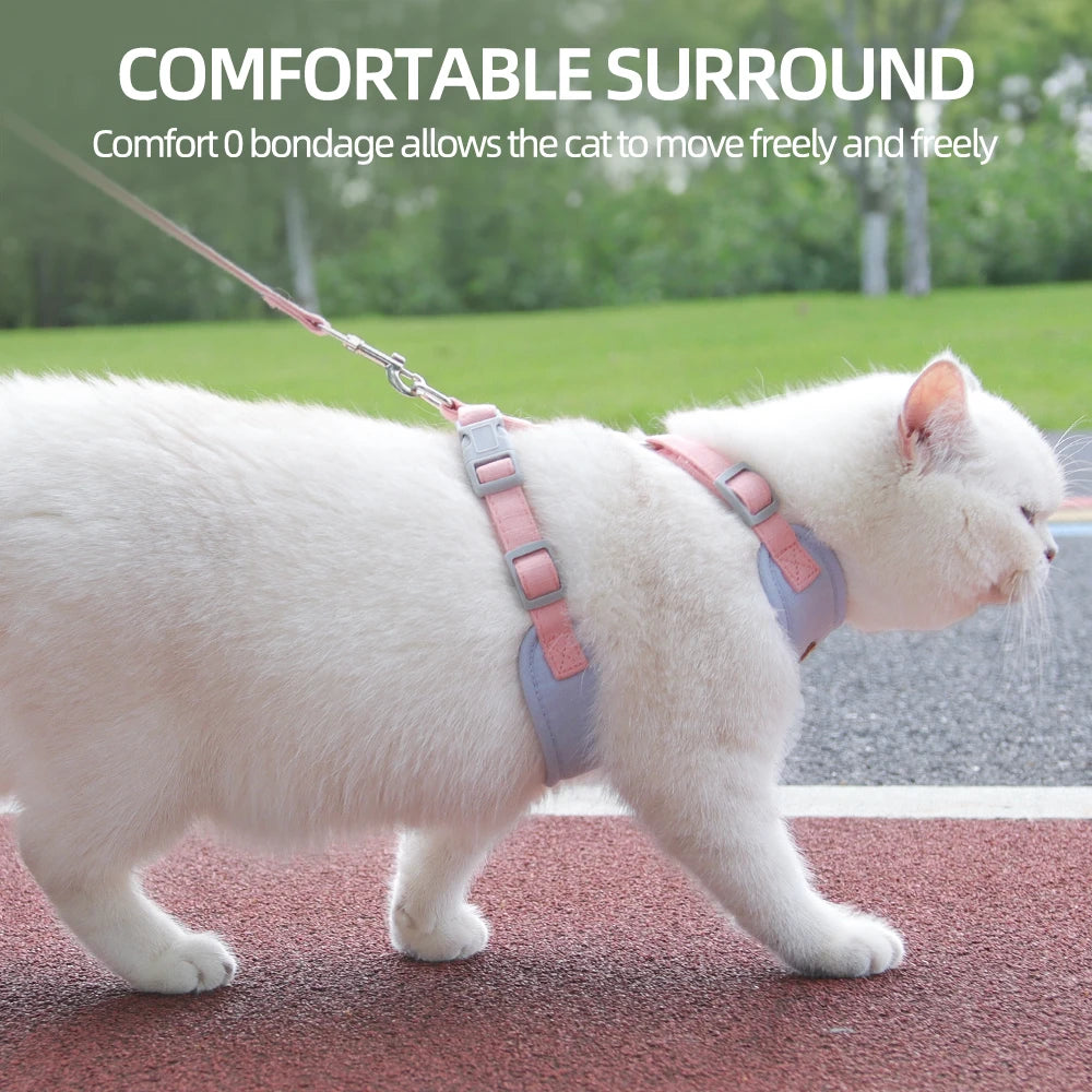 Fashion Cat Harness and Leash Set