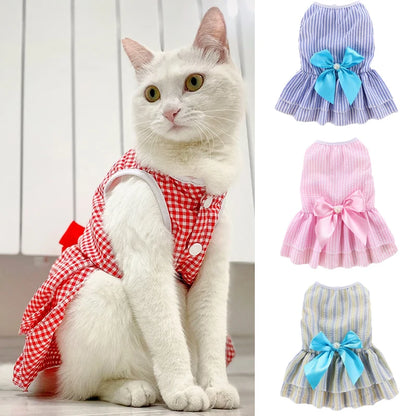 Cat Princess Dress with Bow